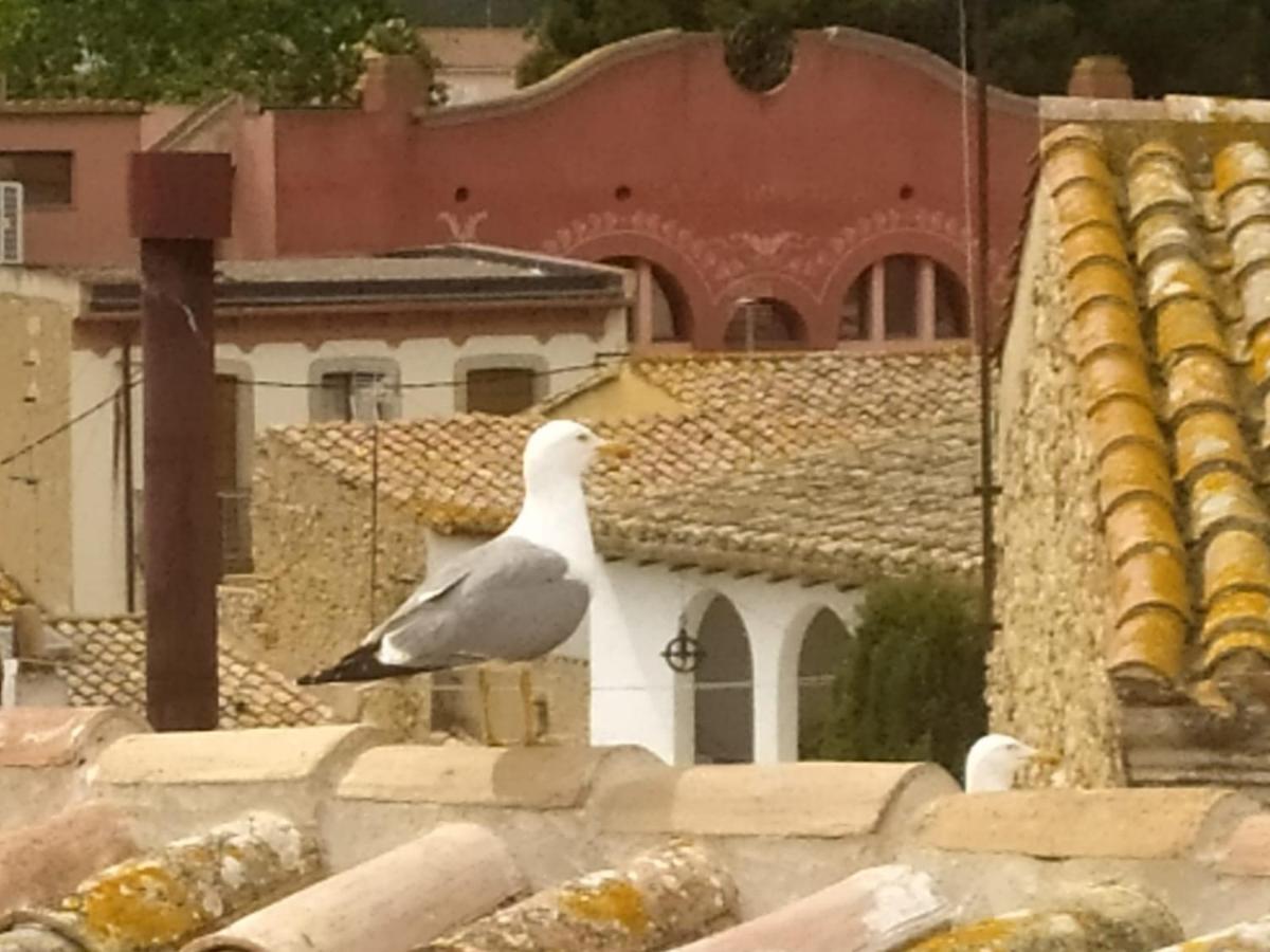 Apartaments L'Arc Palafrugell Eksteriør bilde