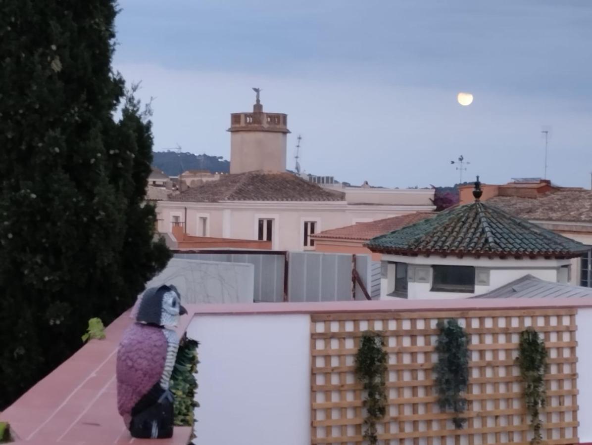 Apartaments L'Arc Palafrugell Eksteriør bilde